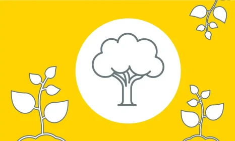 L&P_HA_HP_icon_tree_2000_02