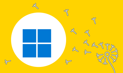 hpyci_2000x1200px_windows_1